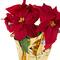 16" Red & Gold Artificial Christmas Poinsettia Arrangement in Wrapped Pot